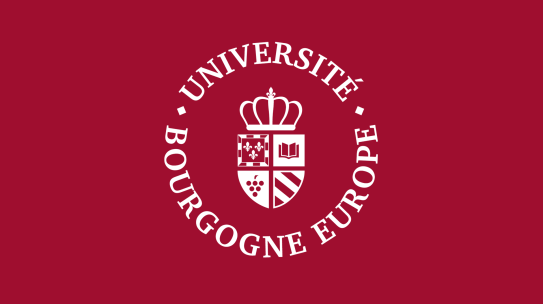 Elections aux Conseils des Composantes de l’UBE